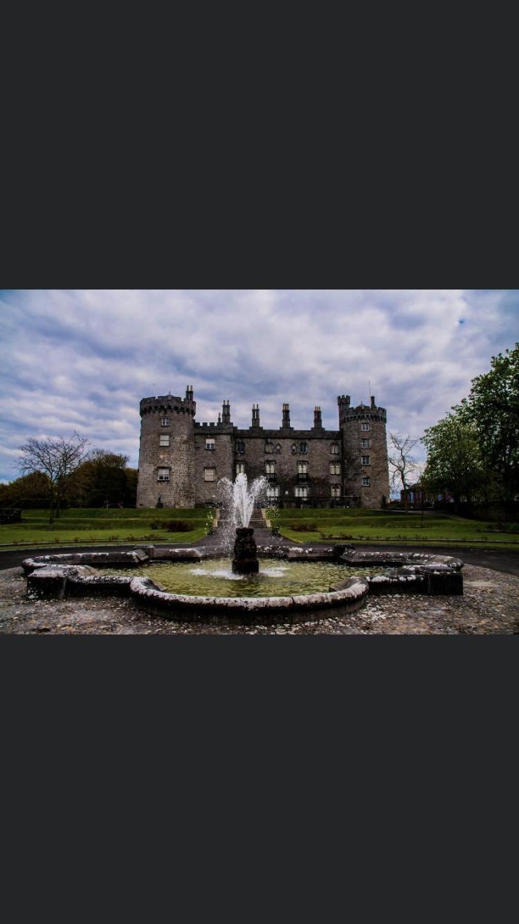 The Lodge - Rural Tipperary Bordering Kilkenny Ballingarry  Exterior foto